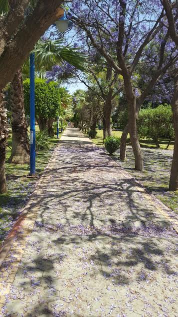 أمانة عسير تنتهي من تطوير حديقة الأندلس بأعمال ري اوتوماتيكي تزيد على 5 الآف متر طولي