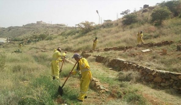 تكثيف أعمال النظافة والإصحاح البيئي في مدينة أبها والقرى التابعة