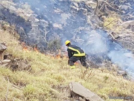 الدفاع المدني يخمد حريقا في اشجار برجال ألمع