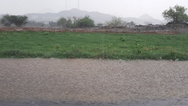 الأرصاد تحذر من حالة مطرية على منطقة عسير تستمر إلى التاسعة مساء