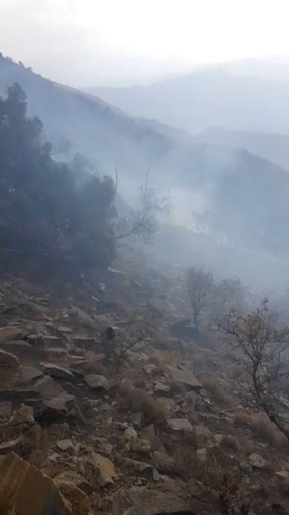 عبث مجهولين يشعل النيران في جبل برجال ألمع عبث مجهولين يشعل النيران في جبل برجال ألمع