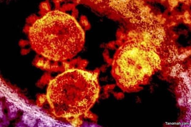 أمل جديد لعلاج "فيروس كورونا"