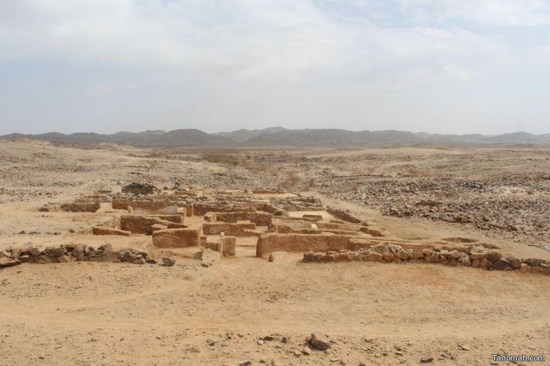 اكتشاف مسجد وعدد من مظاهر التعدين بموقع العبلاء الأثري ببيشة
