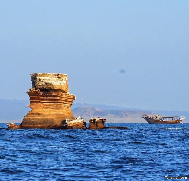 جزيرة كدنبل الوجهة السياحية السعودية القادمة