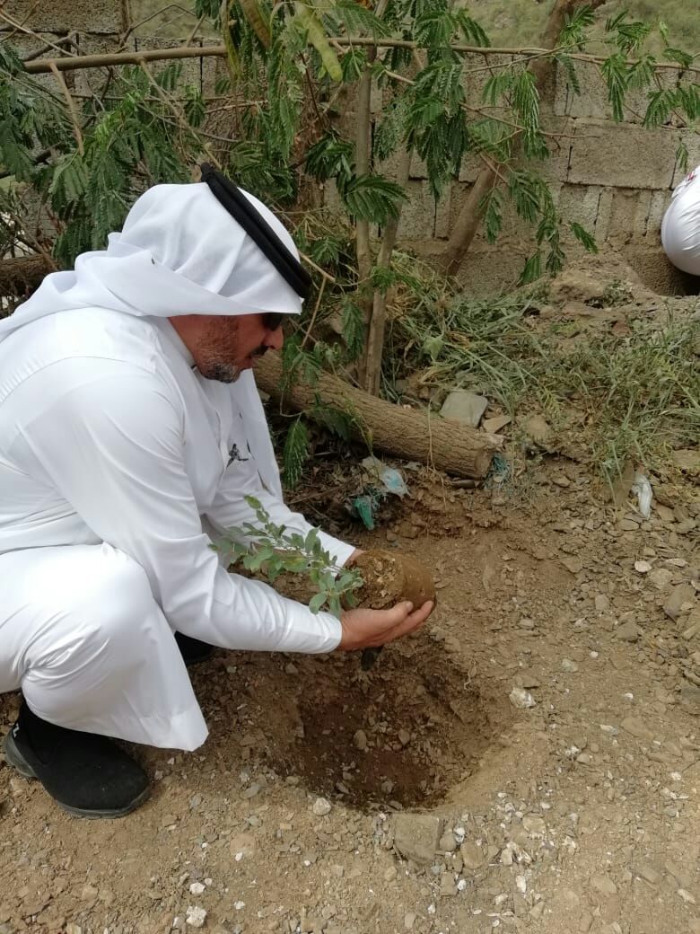 ضمن مبادرات زراعة السدر بمحافظة رجال ألمع .. أبو سراح يدشن مبادرة لزراعة ٥ ألف شتلة بميل قيس