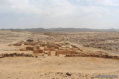 سلطان بن سلمان يوجه باستكمال أعمال التنقيب  الأثري في موقع العبلاء ببيشة للموسم الخامس