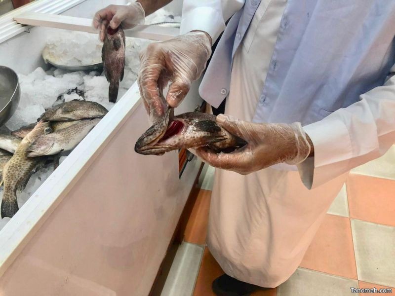 بلدية بارق تصادر ٤٠ كيلو من الأسماك ‬