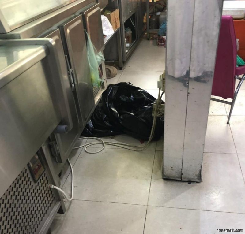 جولات رقابية مكثفة على المطاعم والأسواق برجال ألمع جولات رقابية مكثفة على المطاعم والأسواق برجال ألمع
