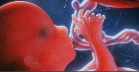 دراسة: الجنين يشعر بعملية الإجهاض