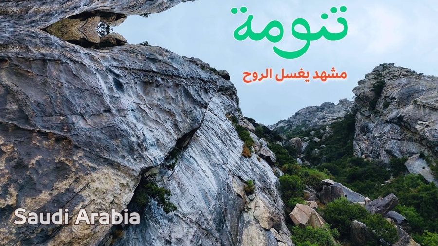 الغيم يهطل عطراً على تنومة