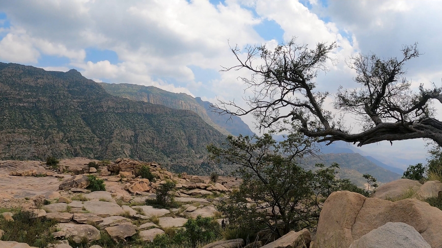 ساقين… حيث يلتقي التاريخ بسحر الطبيعة