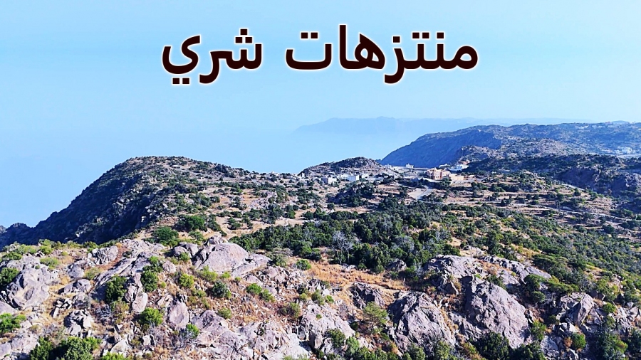 جبل شري سحر الطبيعة وإطلالة تهامة الأخاذة