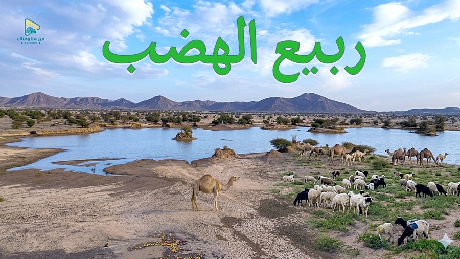 رحلة إلى مجاميع الهضب وحصاة قحطان ????️ وسد هضبة بولان على طريق الرين