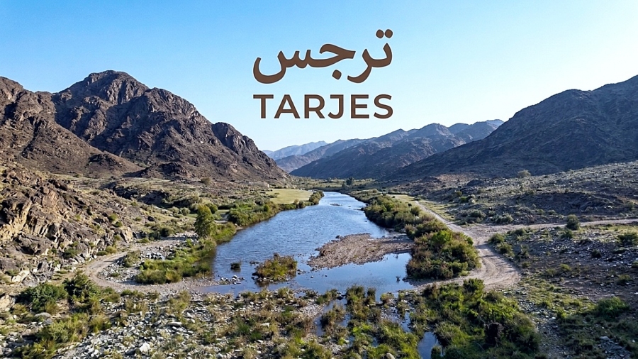 وادي ترجس في تنومة | وجهة سياحية فاتنة