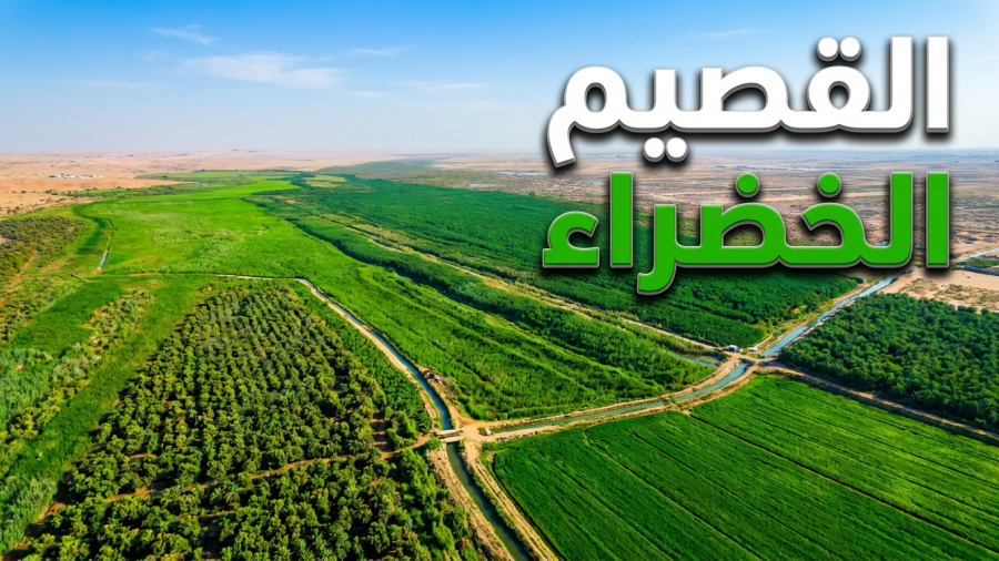 "شيخ الأودية" يحيي قلب نجد.. رحلة بصرية توثق تحول القصيم إلى جنة خضراء