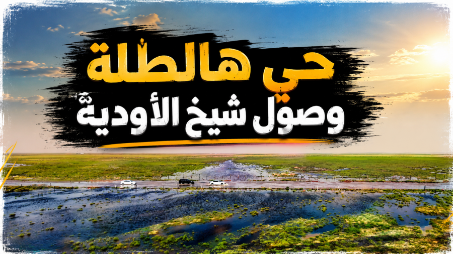 "شيخ الأودية" يحيي قلب نجد.. رحلة بصرية توثق تحول القصيم إلى جنة خضراء