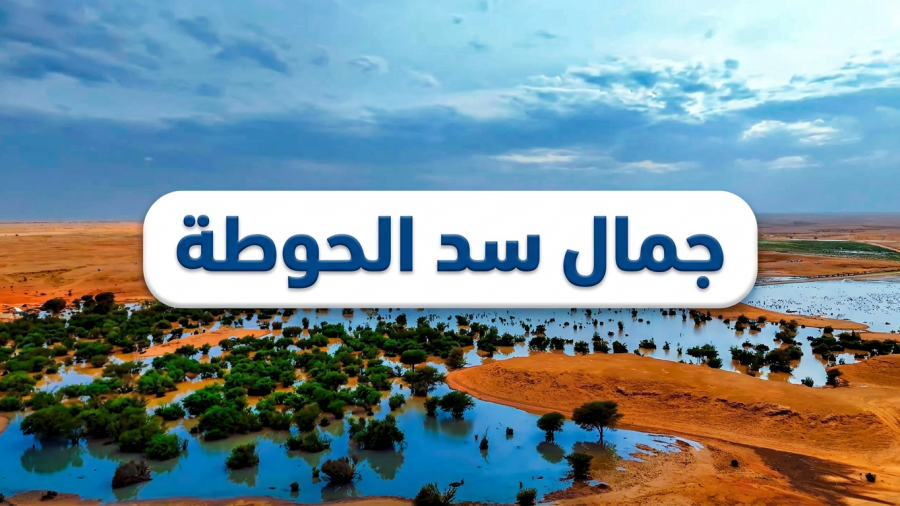 أودية #حوطة_بني_تميم" تتحول إلى لوحة فنية خضراء بعد هطول الأمطار الأخيرة