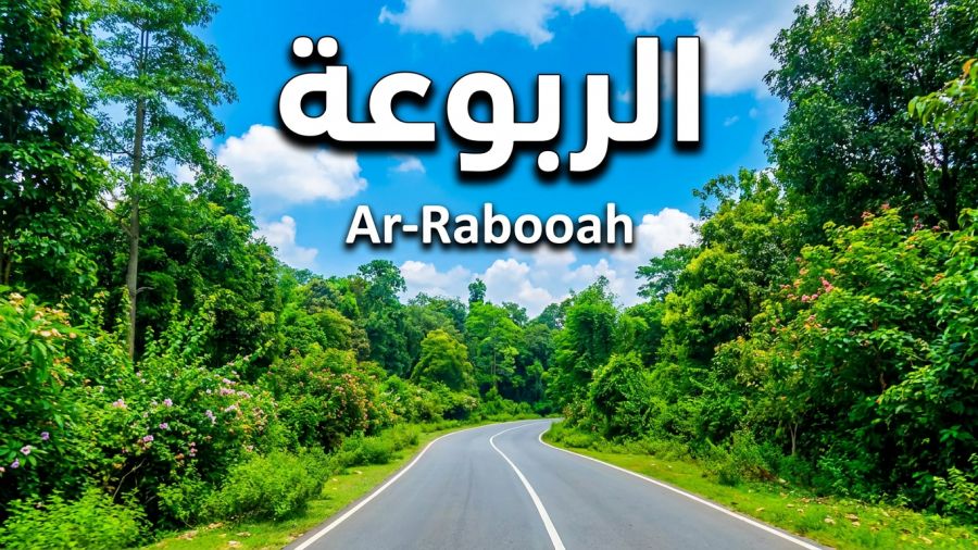 "من هنا وهناك" توثق سحر الطبيعة في "الربوعة" لأول مره