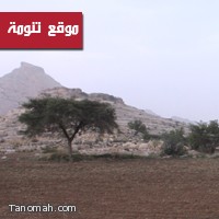 الطقس اليوم وامطار على بللسمر ليلة البارحة 