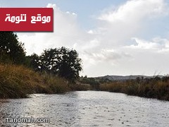 امطار على تنومة والنماص واعاصير تضرب بارق وثلوث المنظر 