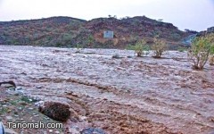 أمطار غزيرة على بارق والمجاردة مصحوبة برياح تقطع الكهرباء