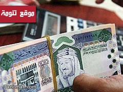 998 ريالاً متوسط إنفاق الفرد السعودي سنوياً على تقنية المعلومات