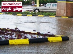 محافظة تنومة تتصدر نشرة وزارة المياة لكميات الأمطار في عسير 