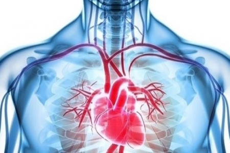 عقار لعلاج مشاكل الرئة يعزز صحة مرضى قصور القلب