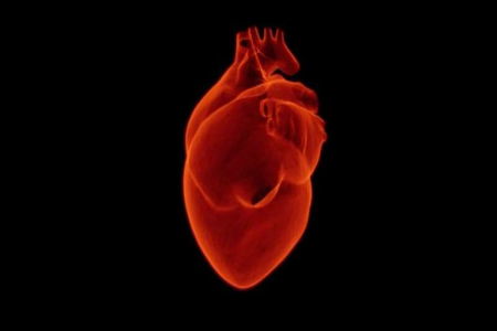 "يخفض خطر الوفاة".. العلاج الجيني يتصدى لمرض قلبي نادر