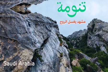 الغيم يهطل عطراً على تنومة