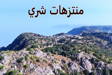 جبل شري سحر الطبيعة وإطلالة تهامة الأخاذة