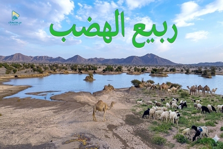 رحلة إلى مجاميع الهضب وحصاة قحطان ????️ وسد هضبة بولان على طريق الرين