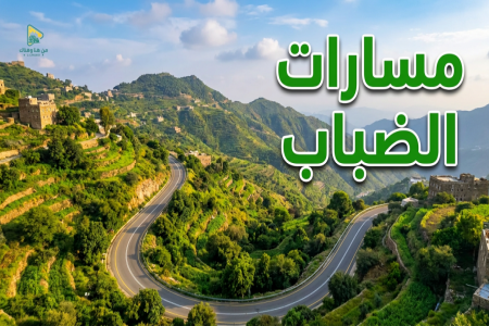 "من هنا وهناك" يوثق سحر "أبها" في رحلة بصرية عبر أجمل مسارات "عروس الضباب"