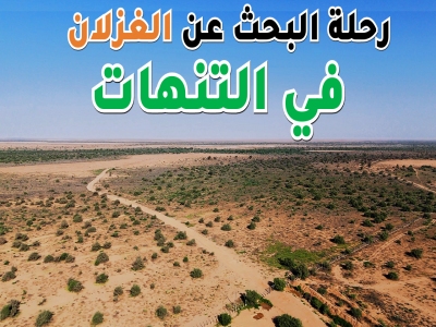 البحث عن غزلان روضة التنهات