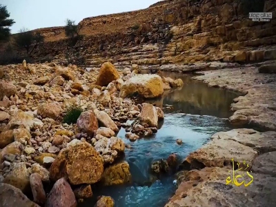 دعاء بصوت الدكتور محمد الصبيحي