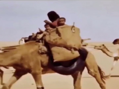 #فيديو: حياة البدو قديماً وقسوتها