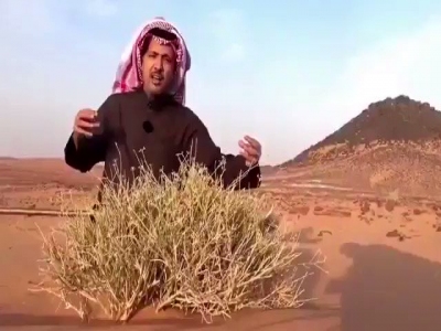 عجينة الخبز عند العرب والفرنسيين وتأثيرها على الصحة