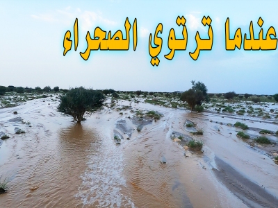 سيول #الرين .. أجواء خرافية